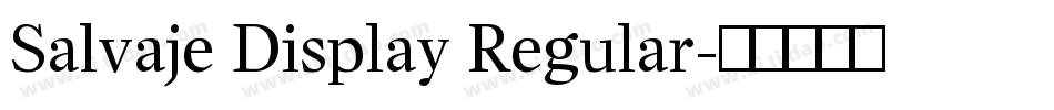 Salvaje Display Regular字体转换